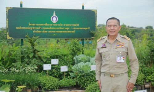 กรมส่งเสริมการเกษตร หนุนโรงเรียนตำรวจตระเวนชายแดนฝึกอบรมเสริมสร้างแหล่งอาหาร ปลูกผัก ปลูกไม้ผลยืนต้น สำหรับโภชนาการอาหารกลางวัน ก่อนขยายผลสู่ผู้ปกครอง และชุมชน สร้างแหล่งอาหาร ลดต้นทุนภายในครัวเรือน และสร้างรายได้เสริมให้กับครอบครัว