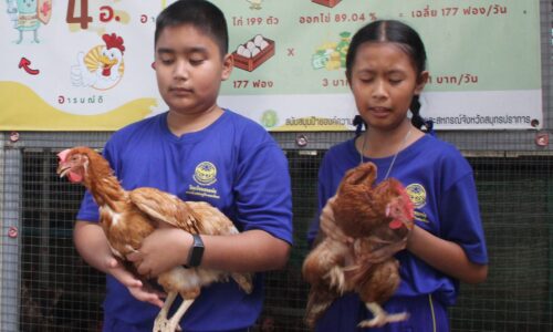 นักเรียนแกนนำในโครงการเศรษฐกิจพอเพียงโรงเรียนของพ่อ เลี้ยงไก่ไข่อารมณ์ดี ตามวิถีพอเพียง