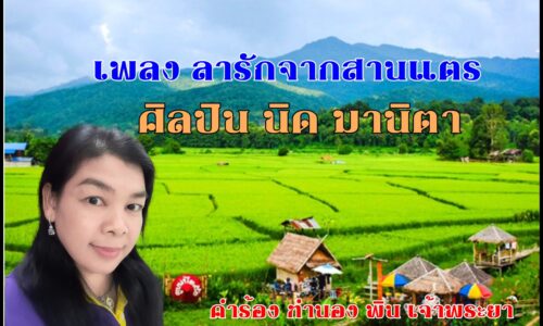 เพลง ลารักจากสานแตร นิด มานิตา