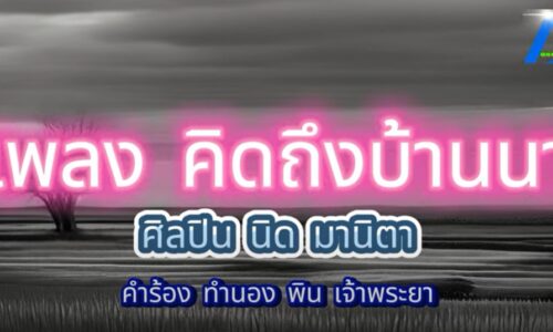 เพลง คิดถึงบ้านนา ต้นแบบ นิด มานิตา คำร้อง ทำนอง พินเจ้าพระยา โครงการ AEC MUSIC ONE