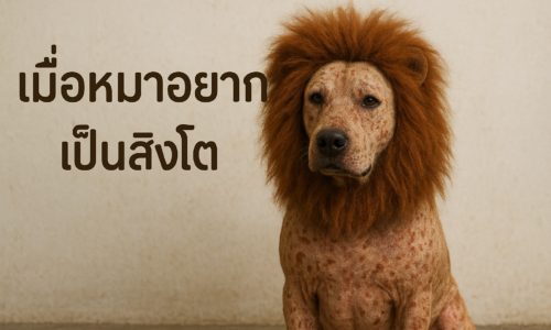 หมาตัวหนึ่งที่อยากเป็นสิงโต”